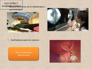DULY NUÑEZ Y
ALMENDRA DONGO
• Reduce los efectos de la radioterapia y
quimioterapia

• Anafrodisiaca para los varones

Útil en prostatitis,
dismenorrea

 