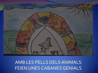 AMB LES PELLS DELS ANIMALS
FEIEN UNES CABANES GENIALS
 