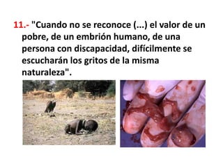 11.- "Cuando no se reconoce (...) el valor de un
pobre, de un embrión humano, de una
persona con discapacidad, difícilmente se
escucharán los gritos de la misma
naturaleza".
 