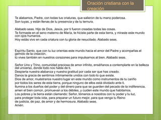 Te alabamos, Padre, con todas tus criaturas, que salieron de tu mano poderosa.
Son tuyas, y están llenas de tu presencia y de tu ternura.
Alabado seas. Hijo de Dios, Jesús, por ti fueron creadas todas las cosas.
Te formaste en el seno materno de María, te hiciste parte de esta tierra, y miraste este mundo
con ojos humanos.
Hoy estás vivo en cada criatura con tu gloria de resucitado. Alabado seas.
Espíritu Santo, que con tu luz orientas este mundo hacia el amor del Padre y acompañas el
gemido de la creación,
tú vives también en nuestros corazones para impulsarnos al bien. Alabado seas.
Señor Uno y Trino, comunidad preciosa de amor infinito, enséñanos a contemplarte en la belleza
del universo, donde todo nos habla de ti.
Despierta nuestra alabanza y nuestra gratitud por cada ser que has creado.
Danos la gracia de sentirnos íntimamente unidos con todo lo que existe.
Dios de amor, muéstranos nuestro lugar en este mundo como instrumentos de tu cariño
por todos los seres de esta tierra, porque ninguno de ellos está olvidado ante ti.
Ilumina a los dueños del poder y del dinero para que se guarden del pecado de la indiferencia,
amen el bien común, promuevan a los débiles, y cuiden este mundo que habitamos.
Los pobres y la tierra están clamando: Señor, tómanos a nosotros con tu poder y tu luz,
para proteger toda vida, para preparar un futuro mejor, para que venga tu Reino
de justicia, de paz, de amor y de hermosura. Alabado seas.
Amén.
Oración cristiana con la
creación
 