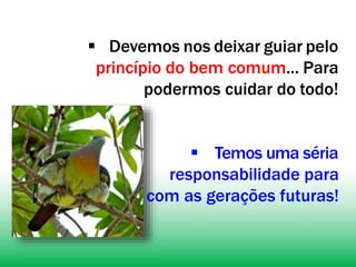  Devemos nos deixar guiar pelo
princípio do bem comum... Para
podermos cuidar do todo!
 Temos uma séria
responsabilidade para
com as gerações futuras!
 