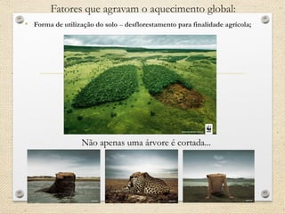 Fatores que agravam o aquecimento global:
• Forma de utilização do solo – desflorestamento para finalidade agrícola;
Não apenas uma árvore é cortada...
 