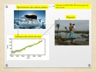 Migração
Aumento dos níveis do mar
Derretimento das calotas polares
Liberação de METANO  um dos gases do
efeito estufa
 