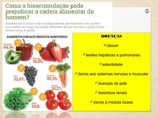 DOENÇAS
câncer
lesões hepáticas e pulmonares
esterilidade
danos aos sistemas nervoso e muscular
doenças de pele
distúrbios renais
danos à medula óssea
 