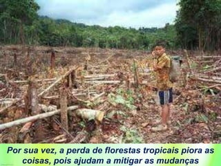 Por sua vez, a perda de florestas tropicais piora as
coisas, pois ajudam a mitigar as mudanças
 