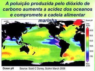 A poluição produzida pelo dióxido de
carbono aumenta a acidez dos oceanos
e compromete a cadeia alimentar
marinha
 
