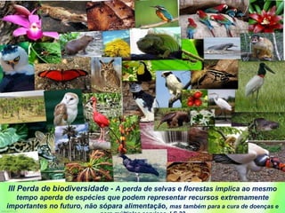 III Perda de biodiversidade - A perda de selvas e florestas implica ao mesmo
tempo aperda de espécies que podem representar recursos extremamente
importantes no futuro, não sópara alimentação, mas também para a cura de doenças e
 