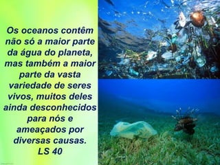 Os oceanos contêm
não só a maior parte
da água do planeta,
mas também a maior
parte da vasta
variedade de seres
vivos, muitos deles
ainda desconhecidos
para nós e
ameaçados por
diversas causas.
LS 40
 