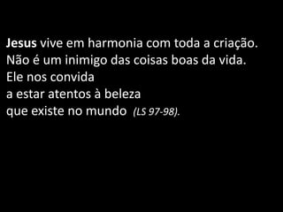 Jesus vive em harmonia com toda a criação.
Não é um inimigo das coisas boas da vida.
Ele nos convida
a estar atentos à beleza
que existe no mundo (LS 97-98).
 