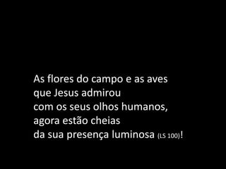 As flores do campo e as aves
que Jesus admirou
com os seus olhos humanos,
agora estão cheias
da sua presença luminosa (LS 100)!
 
