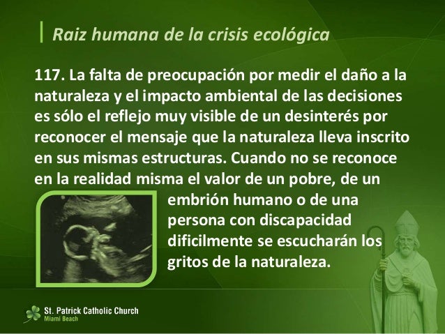 LAUDATO SI’ (español)