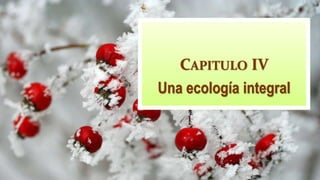 CAPITULO IV
Una ecología integral
 