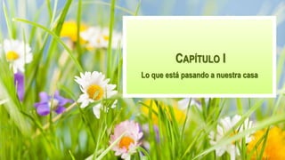 CAPÍTULO I
Lo que está pasando a nuestra casa
 