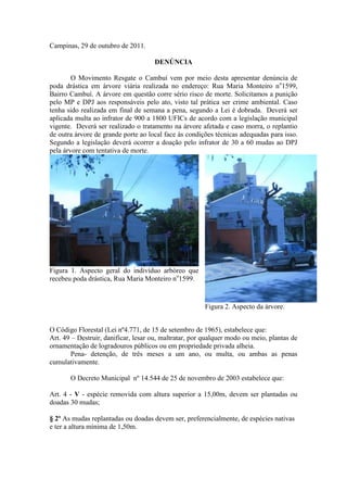 Campinas, 29 de outubro de 2011.

                                     DENÚNCIA

        O Movimento Resgate o Cambuí vem por meio desta apresentar denúncia de
poda drástica em árvore viária realizada no endereço: Rua Maria Monteiro no1599,
Bairro Cambuí. A árvore em questão corre sério risco de morte. Solicitamos a punição
pelo MP e DPJ aos responsáveis pelo ato, visto tal prática ser crime ambiental. Caso
tenha sido realizada em final de semana a pena, segundo a Lei é dobrada. Deverá ser
aplicada multa ao infrator de 900 a 1800 UFICs de acordo com a legislação municipal
vigente. Deverá ser realizado o tratamento na árvore afetada e caso morra, o replantio
de outra árvore de grande porte ao local face às condições técnicas adequadas para isso.
Segundo a legislação deverá ocorrer a doação pelo infrator de 30 a 60 mudas ao DPJ
pela árvore com tentativa de morte.




Figura 1. Aspecto geral do indivíduo arbóreo que
recebeu poda drástica, Rua Maria Monteiro no1599.


                                                       Figura 2. Aspecto da árvore.


O Código Florestal (Lei nº4.771, de 15 de setembro de 1965), estabelece que:
Art. 49 – Destruir, danificar, lesar ou, maltratar, por qualquer modo ou meio, plantas de
ornamentação de logradouros públicos ou em propriedade privada alheia.
        Pena- detenção, de três meses a um ano, ou multa, ou ambas as penas
cumulativamente.

       O Decreto Municipal nº 14.544 de 25 de novembro de 2003 estabelece que:

Art. 4 - V - espécie removida com altura superior a 15,00m, devem ser plantadas ou
doadas 30 mudas;

§ 2º As mudas replantadas ou doadas devem ser, preferencialmente, de espécies nativas
e ter a altura mínima de 1,50m.
 