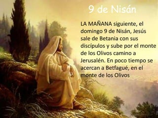9de NisánLA MAÑANA siguiente, el domingo 9 de Nisán, Jesús sale de Betania con sus discípulos y sube por el monte de los Olivos camino a Jerusalén. En poco tiempo se acercan a Betfagué, en el monte de los Olivos