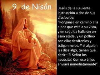 9 de Nisán Jesús da la siguiente instrucción a dos de sus discípulos:“Pónganse en camino a la aldea que está a su vista, y en seguida hallarán un asna atada, y un pollino con ella; desátenlos y tráiganmelos. Y si alguien les dice algo, tienen que decir: ‘El Señor los necesita’. Con eso él los enviará inmediatamente”.