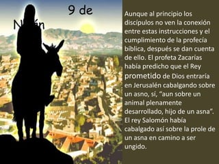9de NisánAunque al principio los discípulos no ven la conexión entre estas instrucciones y el cumplimiento de la profecía bíblica, después se dan cuenta de ello. El profeta Zacarías había predicho que el Rey prometido de Dios entraría en Jerusalén cabalgando sobre un asno, sí, “aun sobre un animal plenamente desarrollado, hijo de un asna”. El rey Salomón había cabalgado así sobre la prole de un asna en camino a ser ungido.