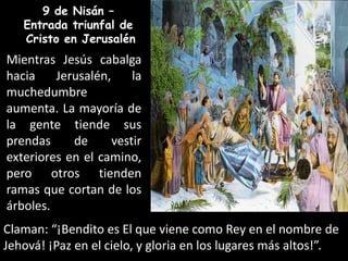 9de Nisán –Entrada triunfal de Cristo en JerusalénMientras Jesús cabalga hacia Jerusalén, la muchedumbre aumenta. La mayoría de la gente tiende sus prendas de vestir exteriores en el camino, pero otros tienden ramas que cortan de los árboles. Claman: “¡Bendito es El que viene como Rey en el nombre de Jehová! ¡Paz en el cielo, y gloria en los lugares más altos!”.