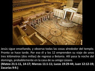 Jesús sigue enseñando, y observa todas las cosas alrededor del templo. Pronto se hace tarde. Por eso él y los 12 emprenden su viaje de unos tres kilómetros (dos millas) de regreso a Betania. Allí pasa la noche del domingo, probablemente en la casa de su amigo Lázaro. (Mateo 21:1-11, 14-17; Marcos 11:1-11; Lucas 19:29-44; Juan 12:12-19; Zacarías 9:9.) 