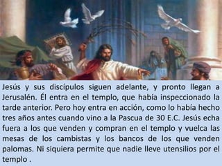 Jesús y sus discípulos siguen adelante, y pronto llegan a Jerusalén. Él entra en el templo, que había inspeccionado la tarde anterior. Pero hoy entra en acción, como lo había hecho tres años antes cuando vino a la Pascua de 30 E.C. Jesús echa fuera a los que venden y compran en el templo y vuelca las mesas de los cambistas y los bancos de los que venden palomas. Ni siquiera permite que nadie lleve utensilios por el templo .
