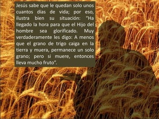 Jesús sabe que le quedan solo unos cuantos días de vida; por eso, ilustra bien su situación: “Ha llegado la hora para que el Hijo del hombre sea glorificado. Muy verdaderamente les digo: A menos que el grano de trigo caiga en la tierra y muera, permanece un solo grano; pero si muere, entonces lleva mucho fruto”.