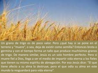 Un grano de trigo es de poco valor. Pero ¿qué hay si se pone en el terreno y “muere”, o sea, deja de existir como semilla? Entonces brota o germina y con el tiempo forma un tallo que produce muchísimos granos de trigo. De manera similar, Jesús es un solo hombre perfecto. Pero si muere fiel a Dios, llega a ser el medio de impartir vida eterna a los fieles que tienen su mismo espíritu de abnegación. Por eso Jesús dice: “El que tiene afecto a su alma la destruye, pero el que odia su alma en este mundo la resguardará para vida eterna”.