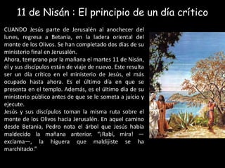 11 de Nisán : El principio de un díacríticoCUANDO Jesús parte de Jerusalén al anochecer del lunes, regresa a Betania, en la ladera oriental del monte de los Olivos. Se han completado dos días de su ministerio final en Jerusalén. Ahora, temprano por la mañana el martes 11 de Nisán, él y sus discípulos están de viaje de nuevo. Este resulta ser un día crítico en el ministerio de Jesús, el más ocupado hasta ahora. Es el último día en que se presenta en el templo. Además, es el último día de su ministerio público antes de que se le someta a juicio y ejecute.Jesús y sus discípulos toman la misma ruta sobre el monte de los Olivos hacia Jerusalén. En aquel camino desde Betania, Pedro nota el árbol que Jesús había maldecido la mañana anterior. “¡Rabí, mira! —exclama—, la higuera que maldijiste se ha marchitado.”