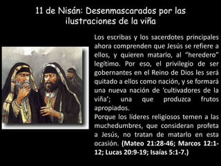 11 de Nisán: Desenmascarados por las ilustraciones de la viñaLos escribas y los sacerdotes principales ahora comprenden que Jesús se refiere a ellos, y quieren matarlo, al “heredero” legítimo. Por eso, el privilegio de ser gobernantes en el Reino de Dios les será quitado a ellos como nación, y se formará una nueva nación de ‘cultivadores de la viña’; una que produzca frutos apropiados.Porque los líderes religiosos temen a las muchedumbres, que consideran profeta a Jesús, no tratan de matarlo en esta ocasión. (Mateo 21:28-46; Marcos 12:1-12; Lucas 20:9-19; Isaías 5:1-7.)