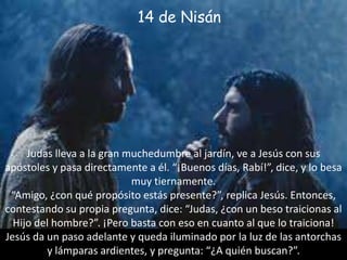 14 de NisánJudas lleva a la gran muchedumbre al jardín, ve a Jesús con sus apóstoles y pasa directamente a él. “¡Buenos días, Rabí!”, dice, y lo besa muy tiernamente.“Amigo, ¿con qué propósito estás presente?”, replica Jesús. Entonces, contestando su propia pregunta, dice: “Judas, ¿con un beso traicionas al Hijo del hombre?”. ¡Pero basta con eso en cuanto al que lo traiciona! Jesús da un paso adelante y queda iluminado por la luz de las antorchas y lámparas ardientes, y pregunta: “¿A quién buscan?”.