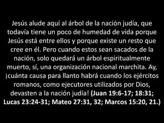 Jesús alude aquí al árbol de la nación judía, que todavía tiene un poco de humedad de vida porque Jesús está entre ellos y porque existe un resto que cree en él. Pero cuando estos sean sacados de la nación, solo quedará un árbol espiritualmente muerto, sí, una organización nacional marchita. Ay, ¡cuánta causa para llanto habrá cuando los ejércitos romanos, como ejecutores utilizados por Dios, devasten a la nación judía! (Juan 19:6-17; 18:31; Lucas 23:24-31; Mateo 27:31, 32; Marcos 15:20, 21.)