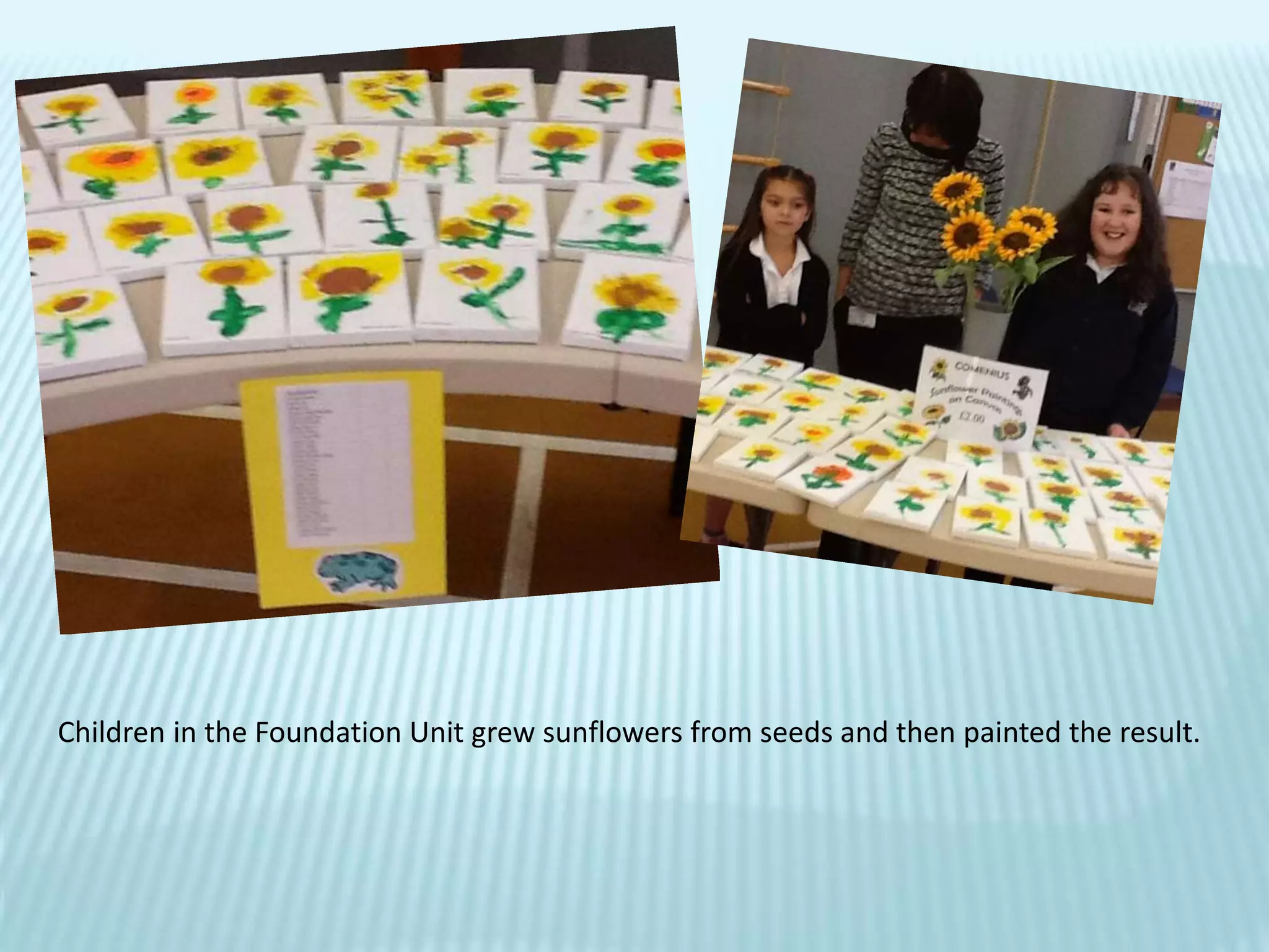 Children in the Foundation Unit grew sunflowers from seeds and then painted the result.
 