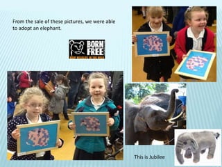 From the sale of these pictures, we were able
to adopt an elephant.
This is Jubilee
 