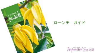 ローンチ ガイド
 