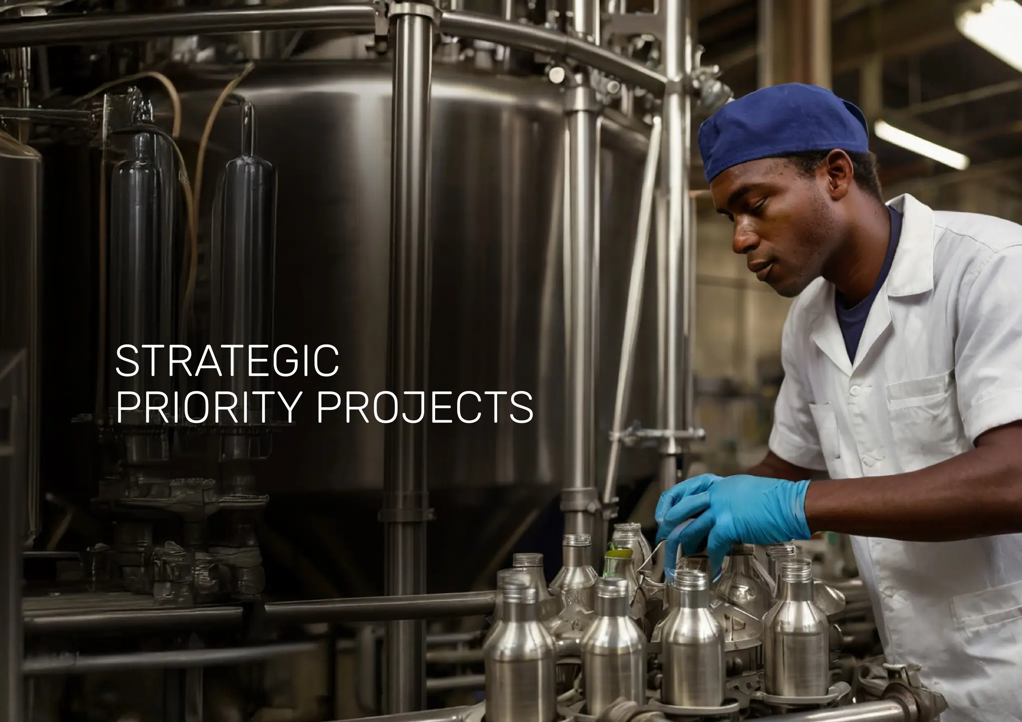 STRATEGIC
PRIORITY PROJECTS
 