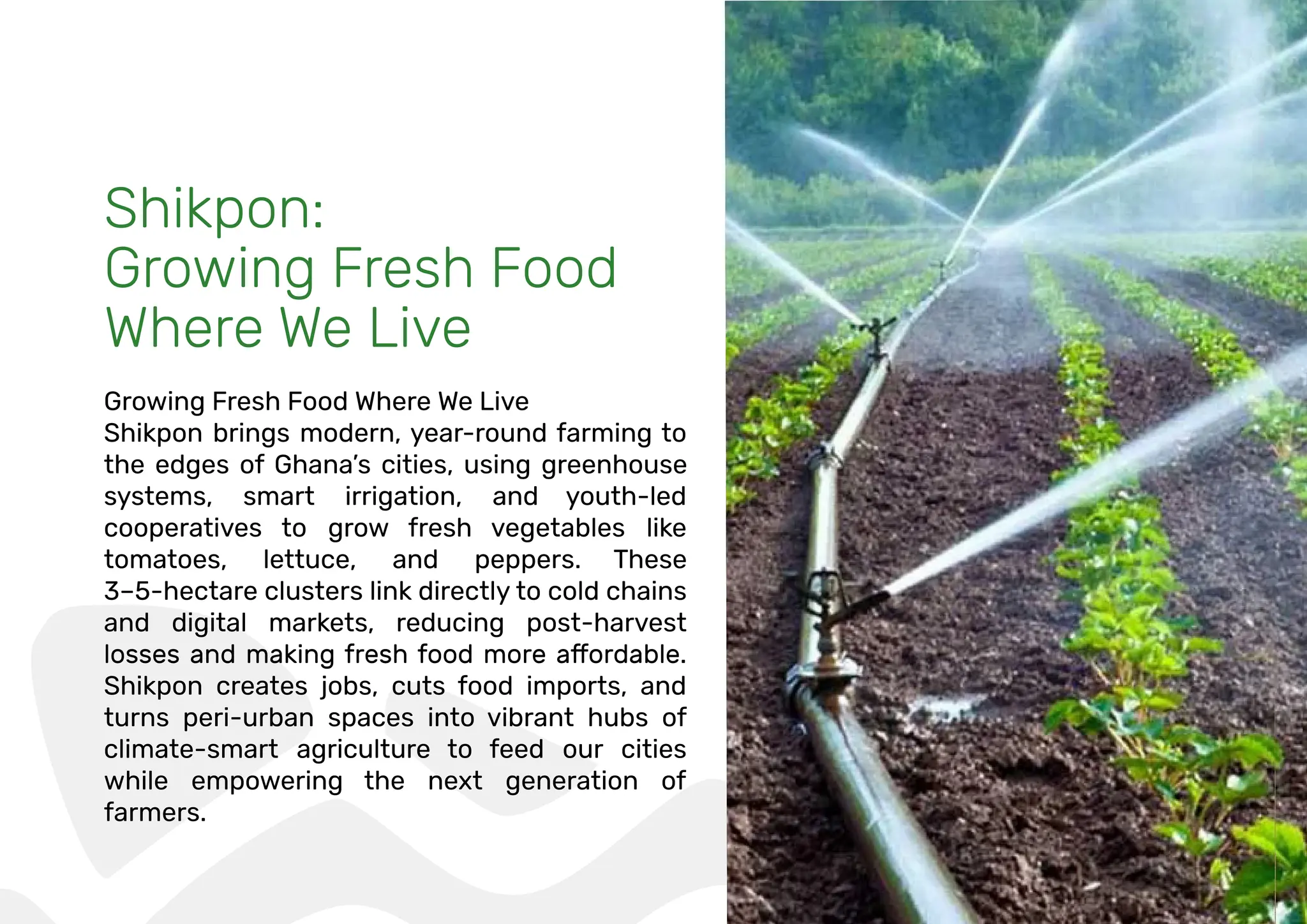 Shikpon:
Growing Fresh Food
Where We Live
Growing Fresh Food Where We Live
Shikpon brings modern, year-round farming to
the edges of Ghana’s cities, using greenhouse
systems, smart irrigation, and youth-led
cooperatives to grow fresh vegetables like
tomatoes, lettuce, and peppers. These
3–5-hectare clusters link directly to cold chains
and digital markets, reducing post-harvest
Shikpon creates jobs, cuts food imports, and
turns peri-urban spaces into vibrant hubs of
climate-smart agriculture to feed our cities
while empowering the next generation of
farmers.
 