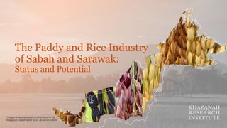 The Paddy and Rice Industry
of Sabah and Sarawak:
Status and Potential
*Images of several paddy varieties found in Kg
Katagayan, Sabah taken by Dr Januarius Gobilik
 