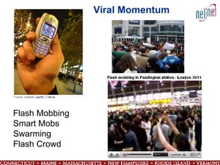 Flash Mobbing Smart Mobs Swarming Flash Crowd Viral Momentum 