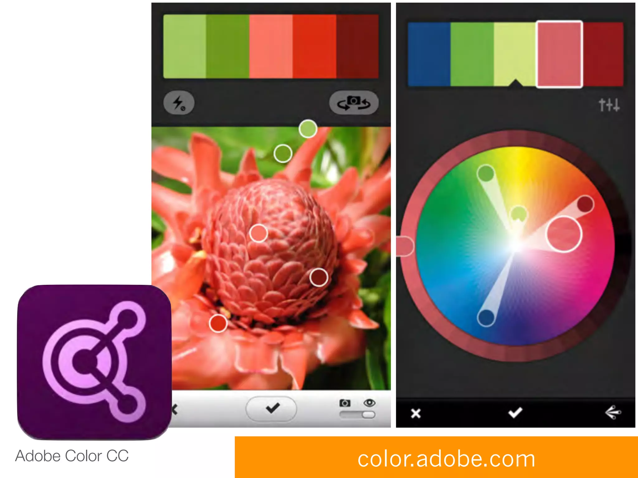 Adobe Color CC color.adobe.com
 
