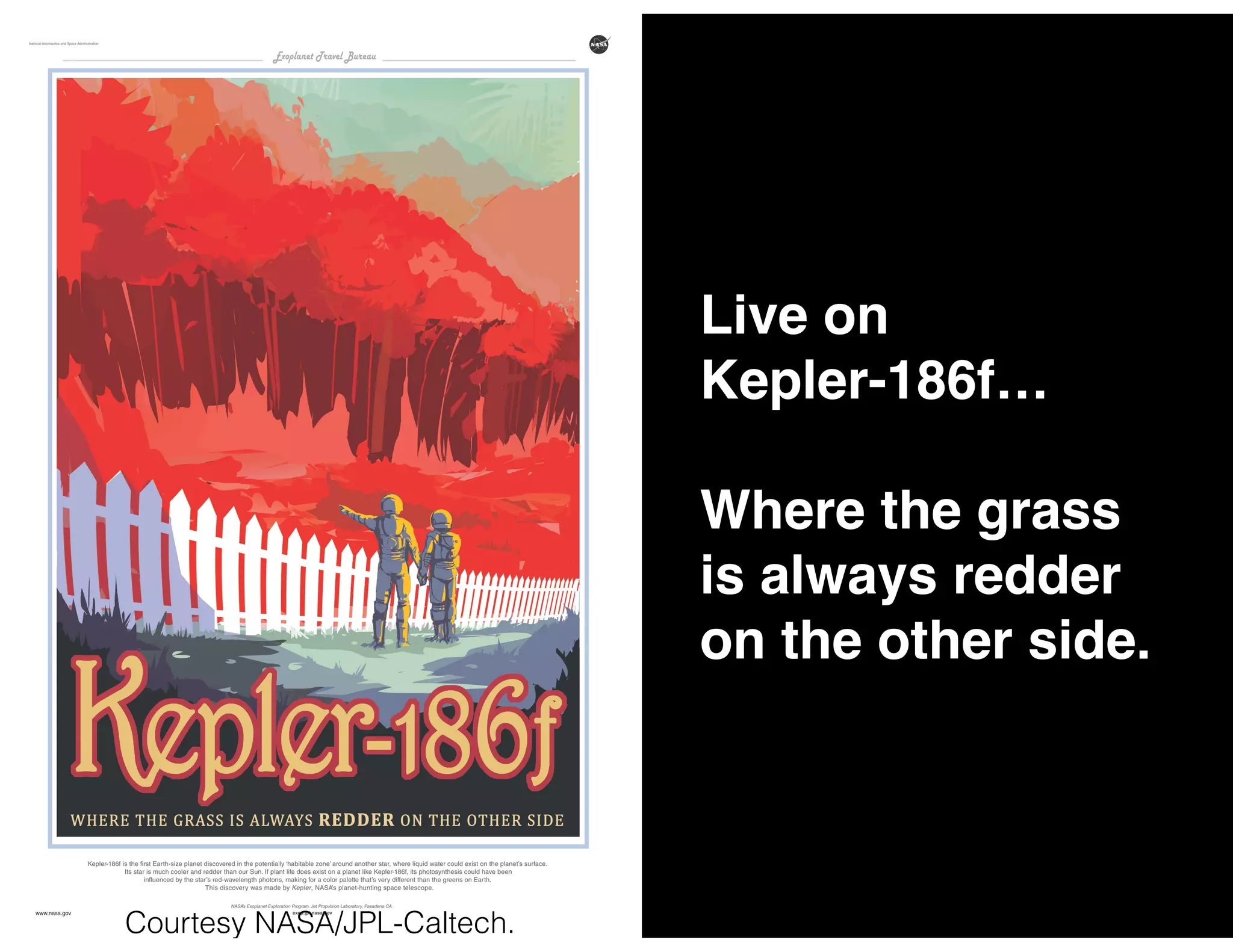 Courtesy NASA/JPL-Caltech.
Live on
Kepler-186f…
Where the grass
is always redder
on the other side.
 
