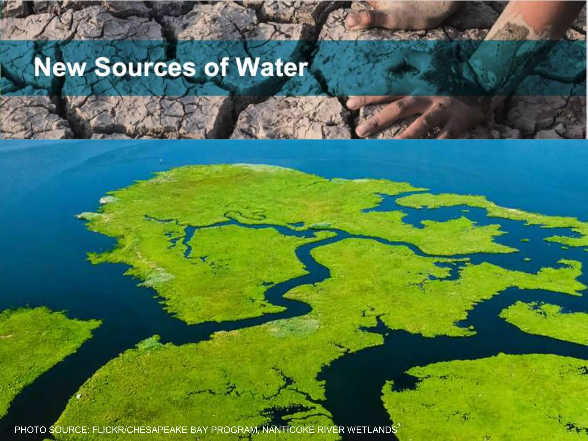 PHOTO SOURCE: FLICKR/CHESAPEAKE BAY PROGRAM, NANTICOKE RIVER WETLANDS
 