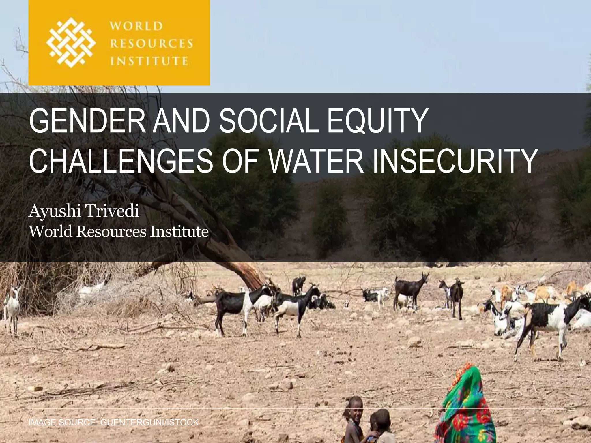 IMAGE SOURCE: GUENTERGUNI/ISTOCK
GENDER AND SOCIAL EQUITY
CHALLENGES OF WATER INSECURITY
Ayushi Trivedi
World Resources Institute
 