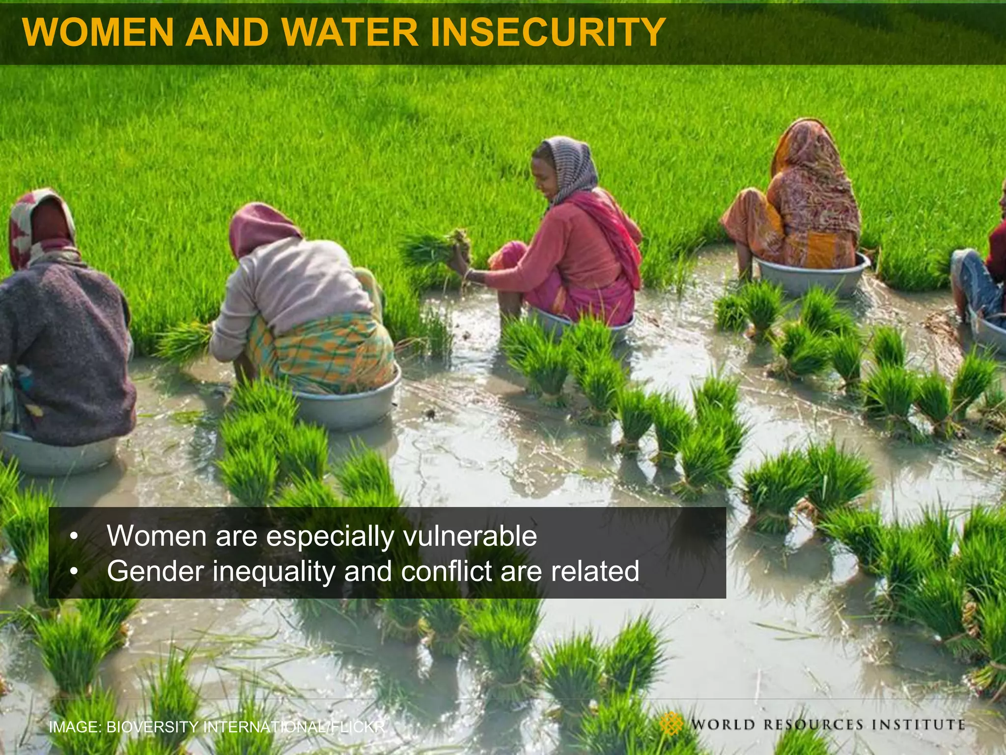 IMAGE: BIOVERSITY INTERNATIONAL/FLICKR
• Women are especially vulnerable
• Gender inequality and conflict are related
WOMEN AND WATER INSECURITY
 