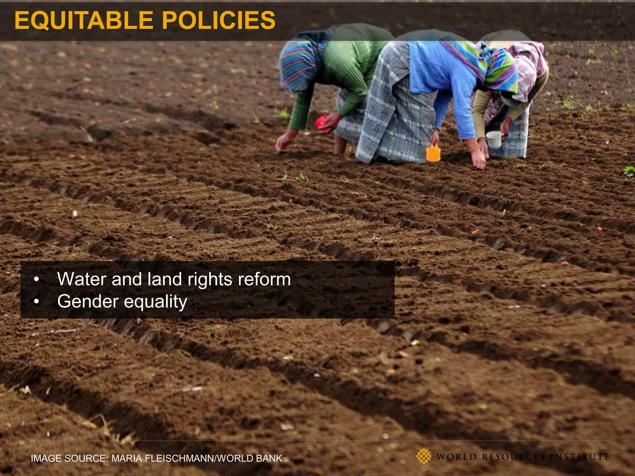 IMAGE SOURCE: MARIA FLEISCHMANN/WORLD BANK
EQUITABLE POLICIES
• Water and land rights reform
• Gender equality
 