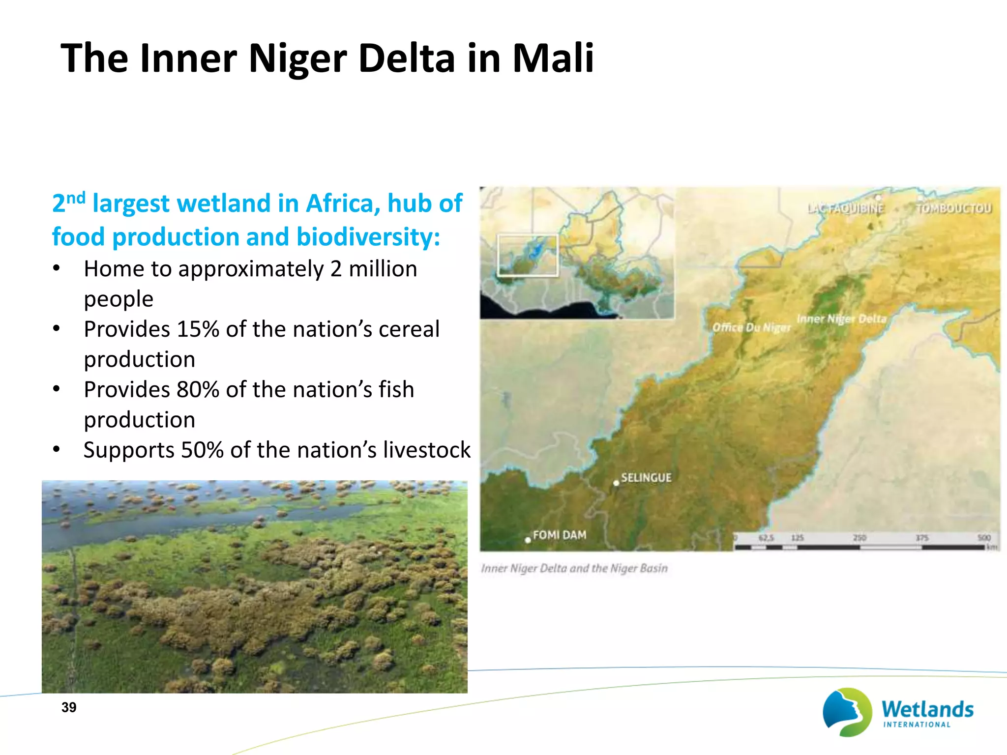 The Inner Niger Delta in Mali
39
2nd largest wetland in Africa, hub of
food production and biodiversity:
• Home to approximately 2 million
people
• Provides 15% of the nation’s cereal
production
• Provides 80% of the nation’s fish
production
• Supports 50% of the nation’s livestock
 