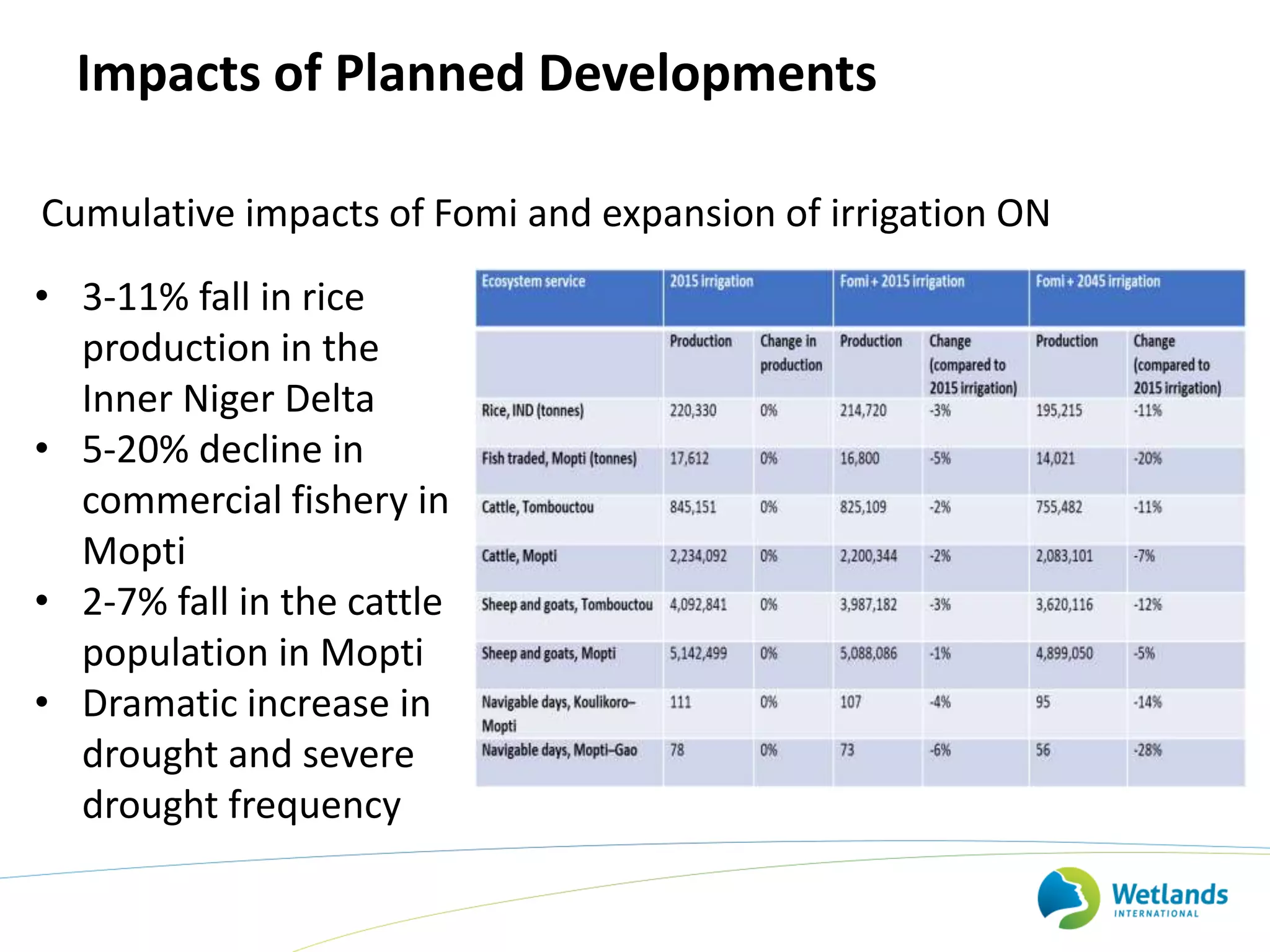 Impacts of Planned Developments
Cumulative impacts of Fomi and expansion of irrigation ON
• 3-11% fall in rice
production in the
Inner Niger Delta
• 5-20% decline in
commercial fishery in
Mopti
• 2-7% fall in the cattle
population in Mopti
• Dramatic increase in
drought and severe
drought frequency
 