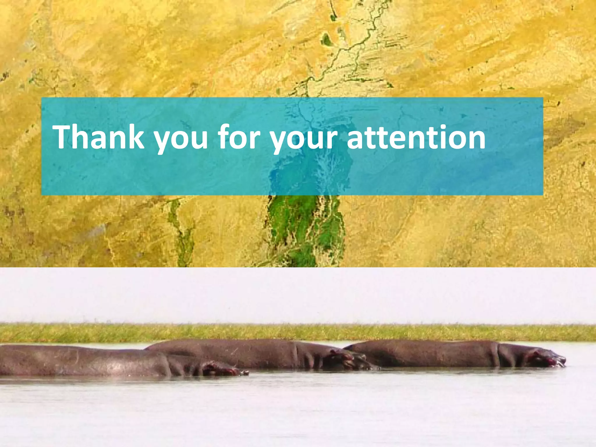 Thank you for your attention
 