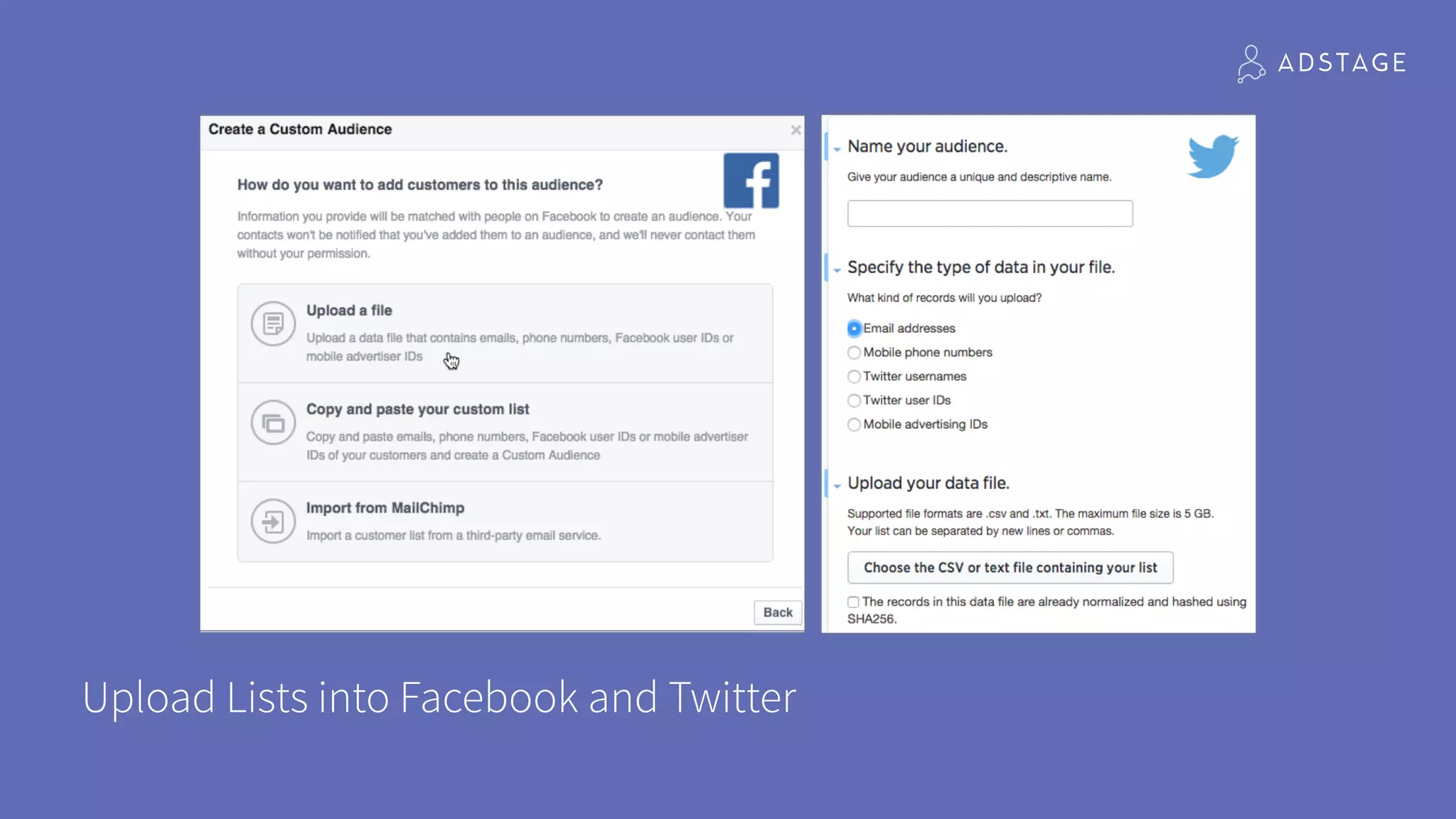 Upload Lists into Facebook and Twitter
 