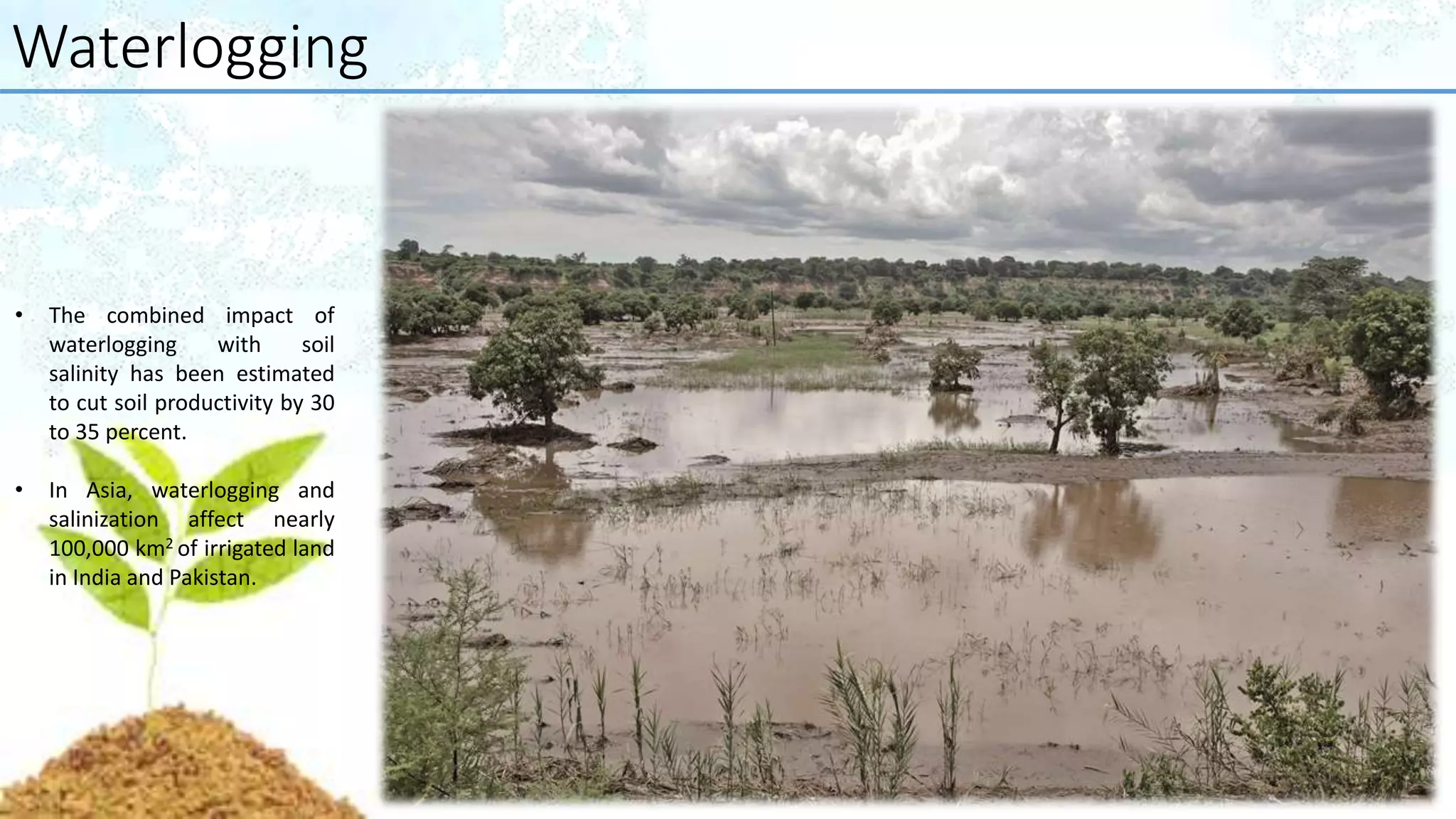 Waterlogging
• The combined impact of
waterlogging with soil
salinity has been estimated
to cut soil productivity by 30
to 35 percent.
• In Asia, waterlogging and
salinization affect nearly
100,000 km2 of irrigated land
in India and Pakistan.
 