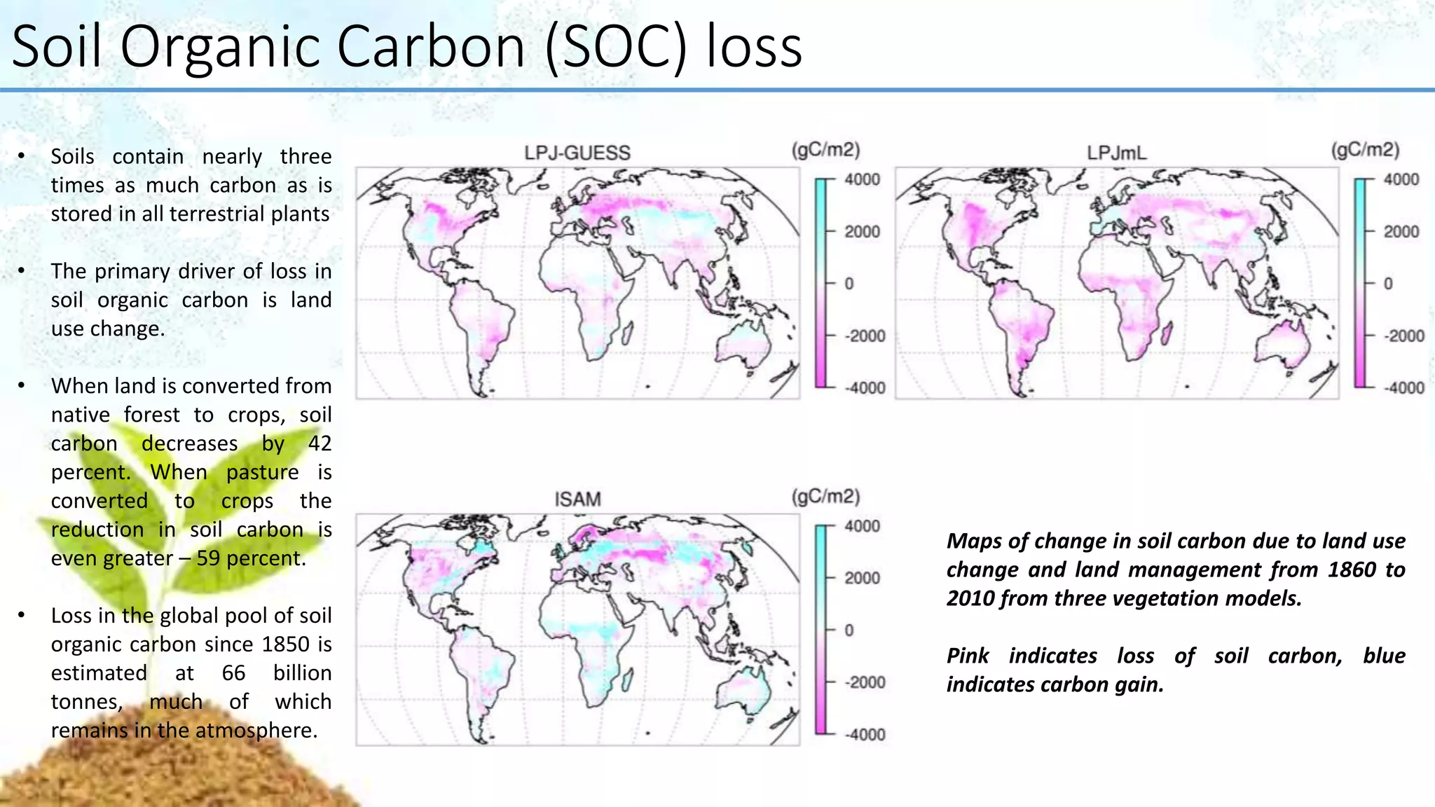 Soil Organic Carbon (SOC) loss
• Soils contain nearly three
times as much carbon as is
stored in all terrestrial plants
• The primary driver of loss in
soil organic carbon is land
use change.
• When land is converted from
native forest to crops, soil
carbon decreases by 42
percent. When pasture is
converted to crops the
reduction in soil carbon is
even greater – 59 percent.
• Loss in the global pool of soil
organic carbon since 1850 is
estimated at 66 billion
tonnes, much of which
remains in the atmosphere.
Maps of change in soil carbon due to land use
change and land management from 1860 to
2010 from three vegetation models.
Pink indicates loss of soil carbon, blue
indicates carbon gain.
 