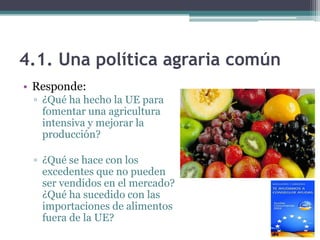4.1. Una política agraria común
• Responde:
 ▫ ¿Qué ha hecho la UE para
   fomentar una agricultura
   intensiva y mejorar la
   producción?

 ▫ ¿Qué se hace con los
   excedentes que no pueden
   ser vendidos en el mercado?
   ¿Qué ha sucedido con las
   importaciones de alimentos
   fuera de la UE?
 